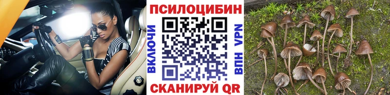 купить  сайты  Семёнов  Галлюциногенные грибы мухоморы 